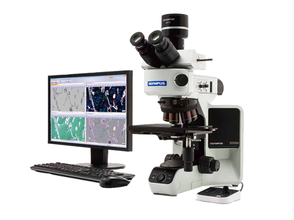 奧林巴斯金相顯微鏡BX53M BX53M